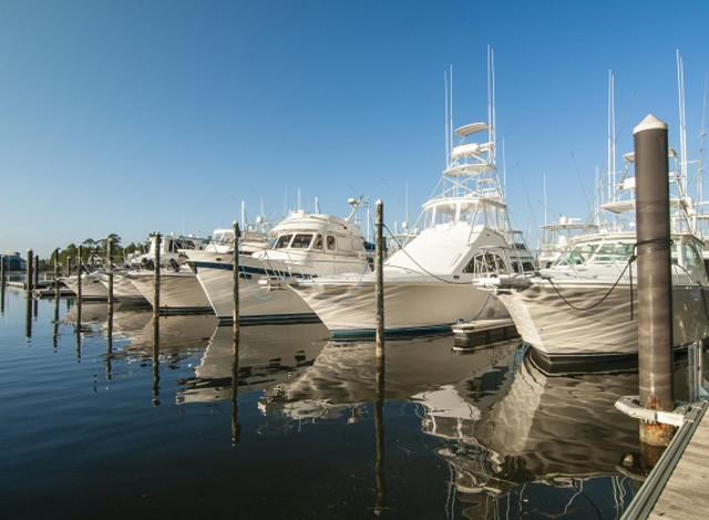 2025 Winter Showcase Series:  Perfect Day Alabama -Day Trips, Weekend Getaways, and More