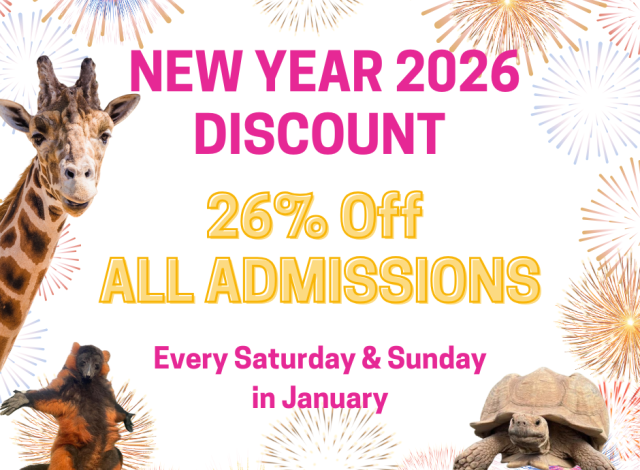26% Off Admissions Every Saturday & Sunday in January