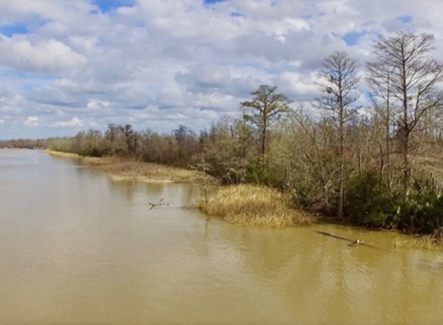 Trip to the Clotilda: The Last Slave Ship