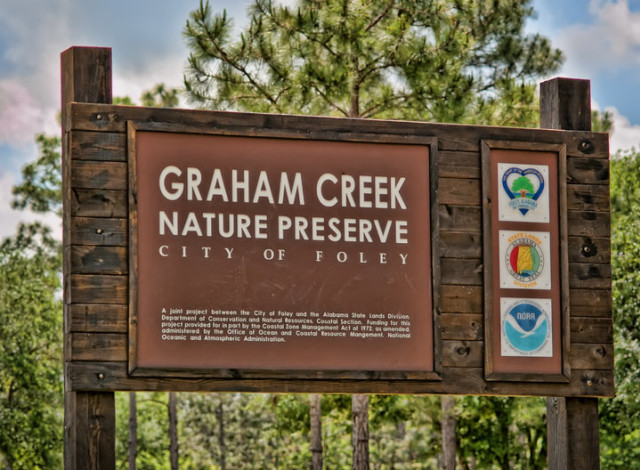 Graham Creek Water Day