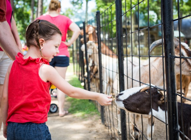 Keeper Chats: Barn Chat