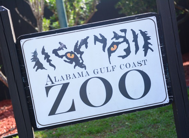 What to do at the Zoo: Animal Ambassador Walkabout