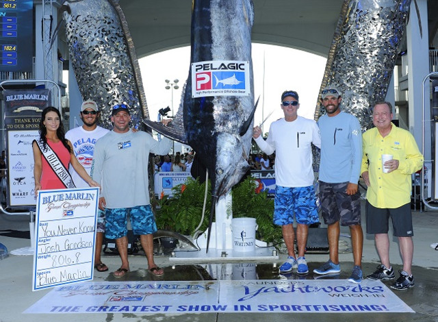 Blue Marlin Grand Championship of the Gulf