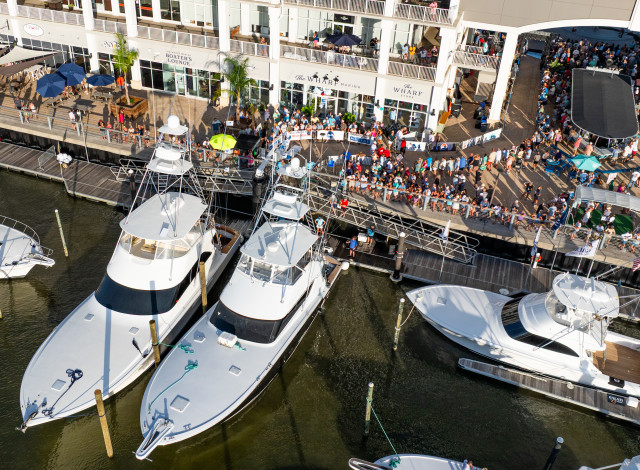 Blue Marlin Grand Championship of the Gulf