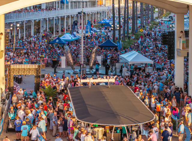 Blue Marlin Grand Championship of the Gulf
