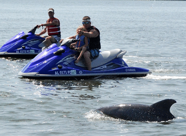 Barefoot Private Family Jet Ski Co.