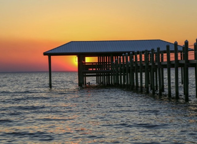 2026 Winter Showcase Series: Exploring the Eastern Shore