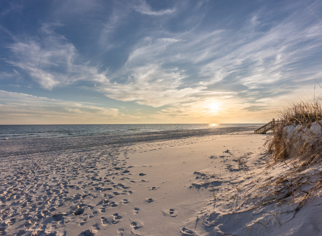 2026 Panhandle Basketball Queen of the Court