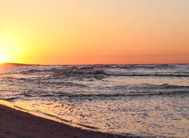 2026 Shell Classic- Golf