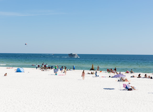 2026 SHARK Run 5K & 1 Mile Fun Run