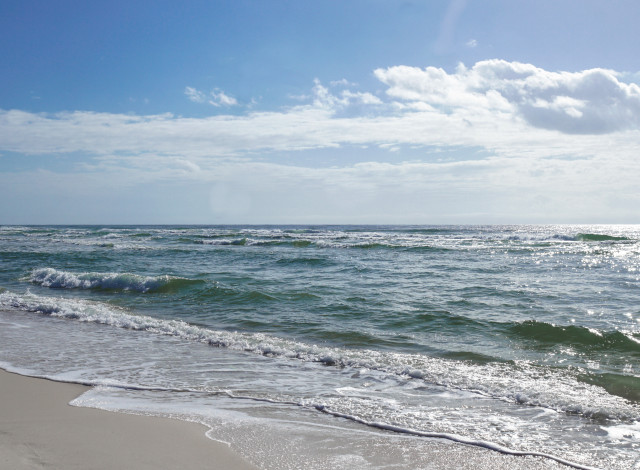 2026 Flora-Bama's Beach Run-Walk for America's Warriors 5K & 1/2 Marathon