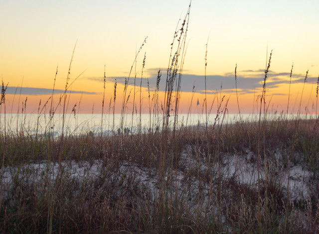 2026 Gulf Coast Region Beach Series Championships