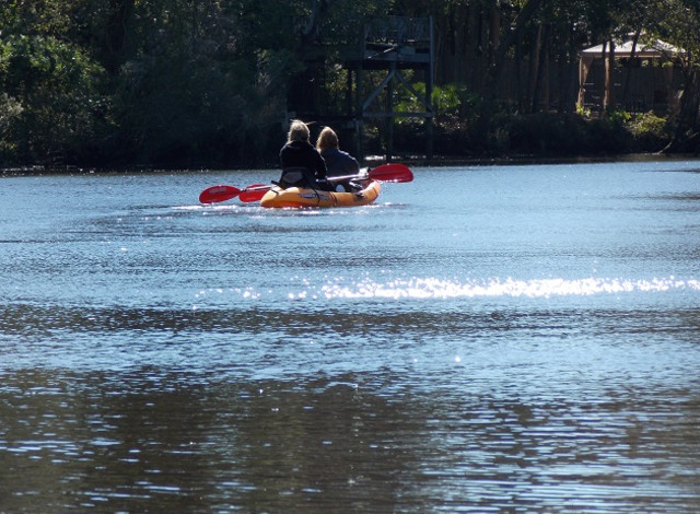 2025 Winter Showcase Series: Southern Rivers, Saving America's Freshwater Biodiversity (Canceled)