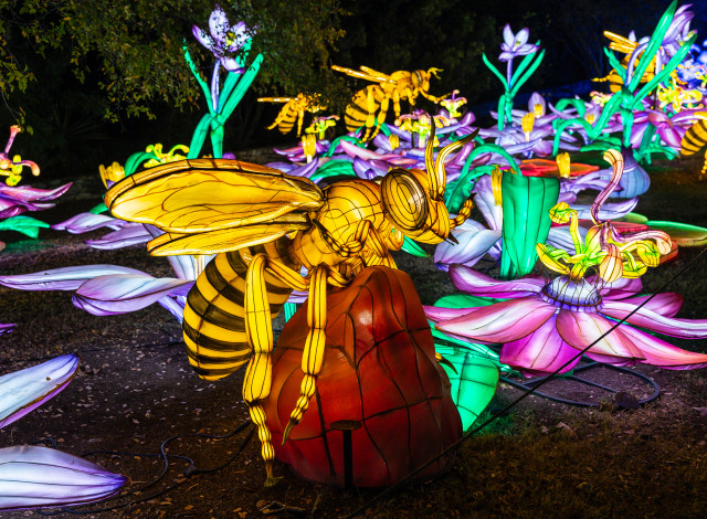 Gulf Coast Chinese Lantern Festival