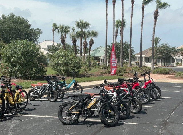 Coyote Beach Sports- Fort Morgan
