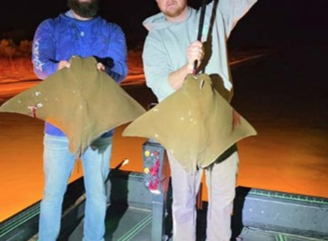 Orange Beach Bowfishing