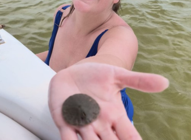 Captain Ty's Boat Day Cruises at Bear Point