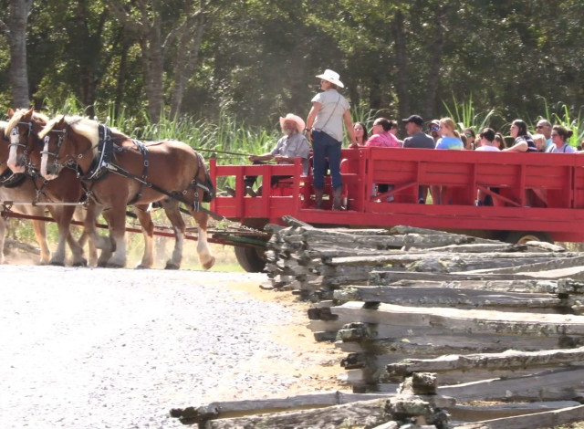 Olde Time Days at Bicentennial Park
