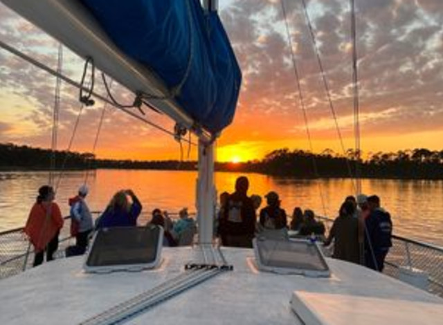 Cetacean Dolphin and Sailing Cruises