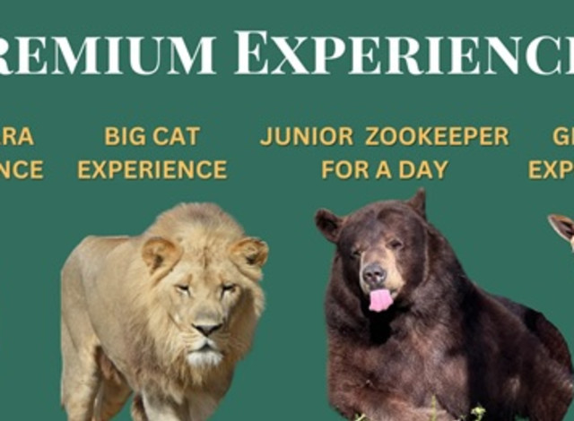 Premium Experiences at the Alabama Gulf Coast Zoo!