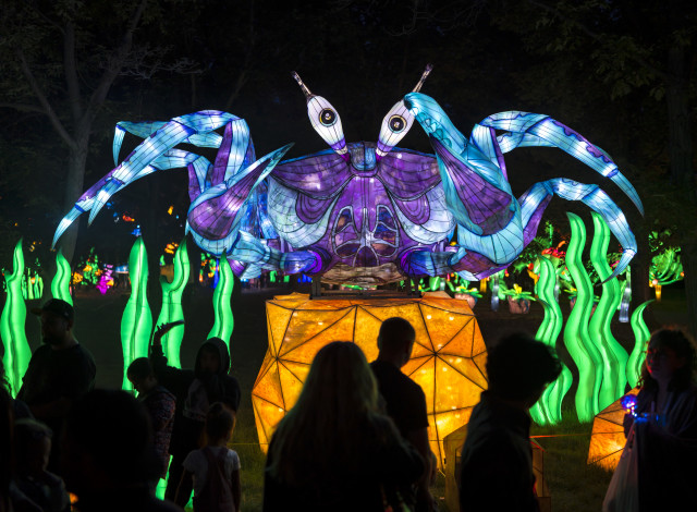 Gulf Coast Chinese Lantern Festival