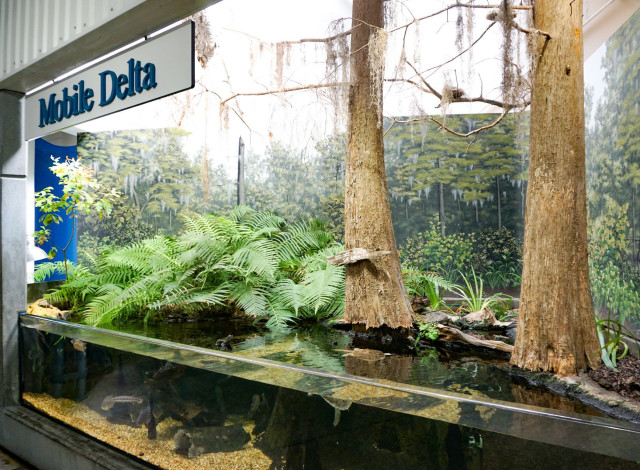 The Alabama Aquarium at the Dauphin Island Sea Lab