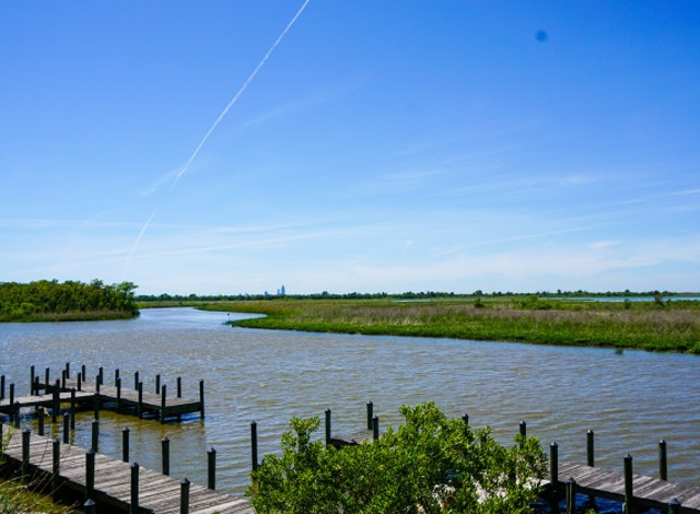 Cruise to the Site of the Clotilda Wreck