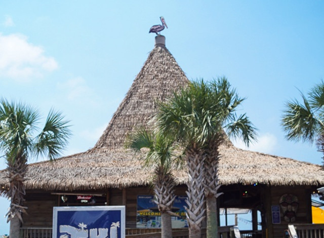 St Patty's at Tiki