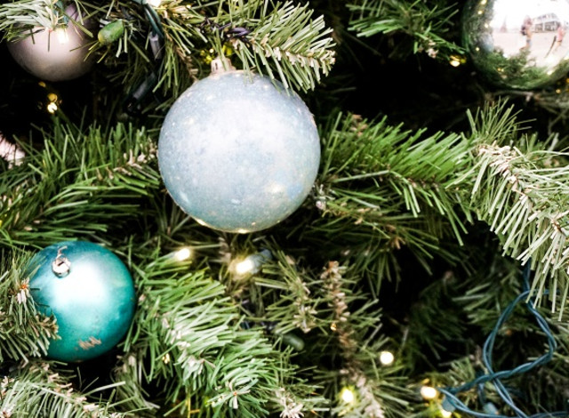 Christmas in the Park in Downtown Foley