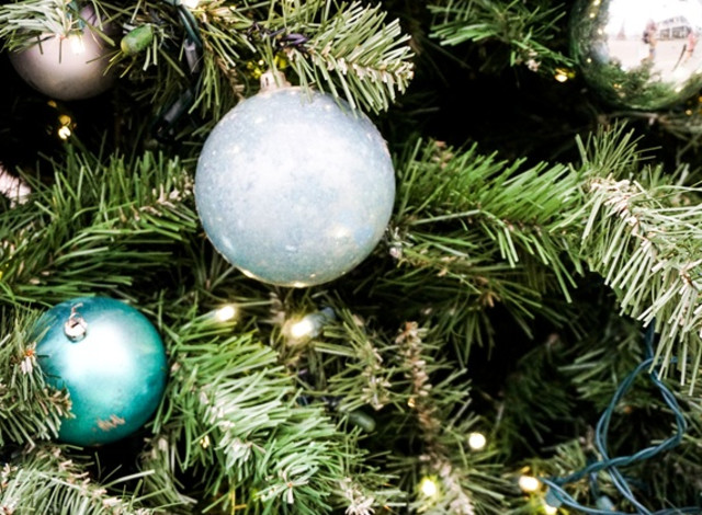 A Christmas Kingdom: Lights, Wonder, and Tradition