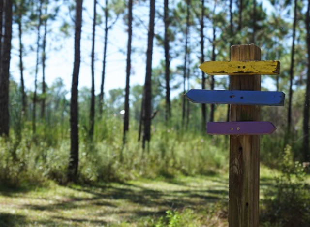 2025 Winter Showcase Series: Exploring the City of Foleys Graham Creek Nature Preserve (Canceled)