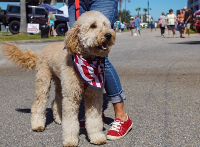 Orange Beach Freedom Fest