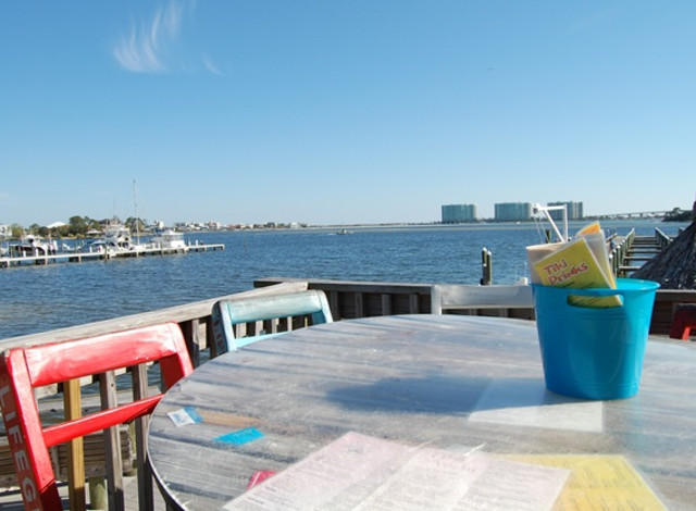 Live Music: Shelby Raye