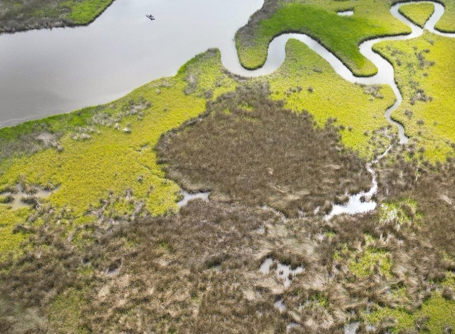 2026 Winter Showcase Series: A Celebration of Alabamas Biodiversity and a Prescription for How to Protect it