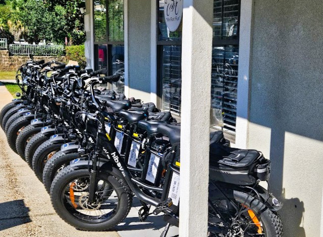 Ebike The Park