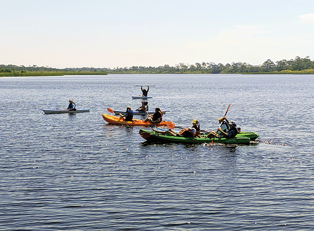 Gulf Coast Center for Ecotourism & Sustainability