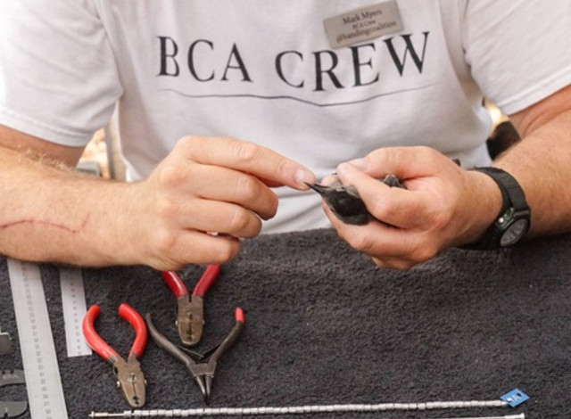 Fall Fort Morgan Bird Banding Event