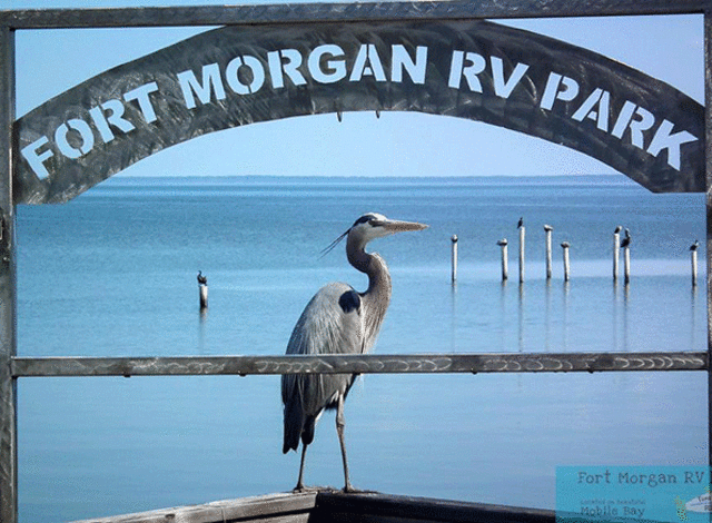 Fort Morgan RV Park