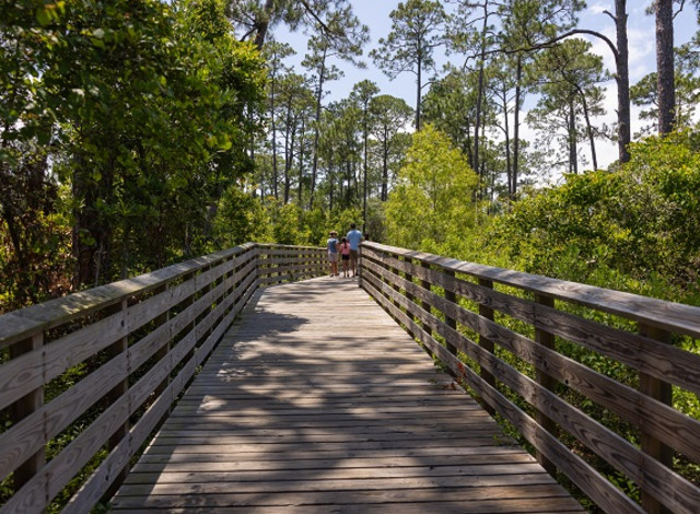 2025 Winter Showcase Series: Adventure Awaits: Exploring Gulf State Park