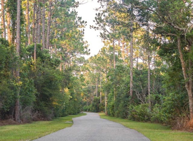 Trailhead Walking Challenge - Walk #3 OB Municipal Complex