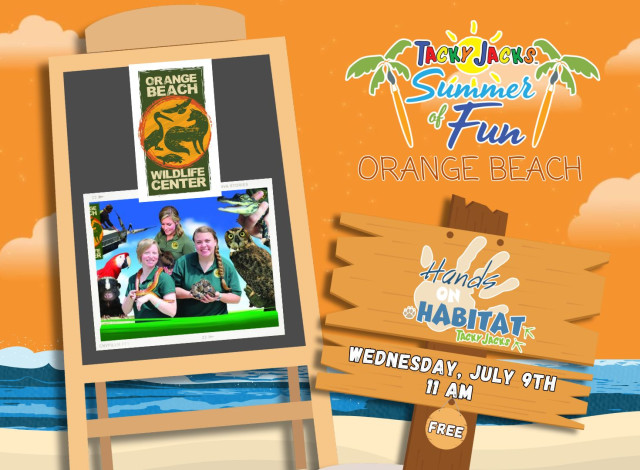 Hands on Habitat - Orange Beach Wildlife Center