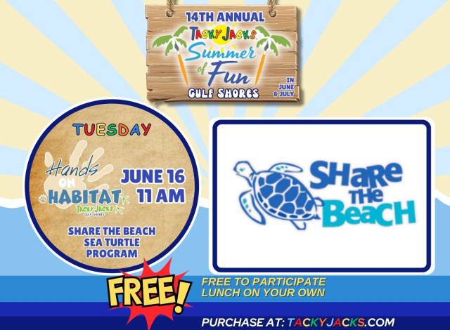 Hands on Habitat - Share the Beach Sea Turtle Program