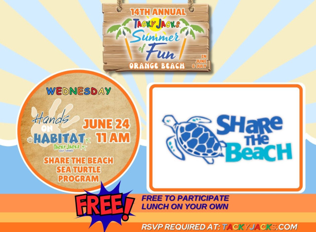 Hands on Habitat - Share the Beach Sea Turtle Program