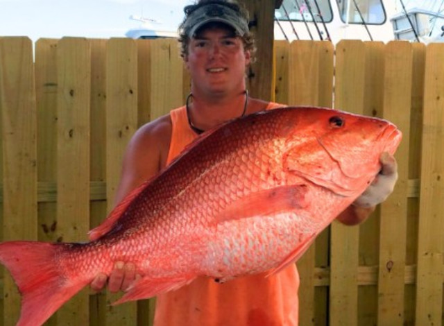 Koka Fishing Charters