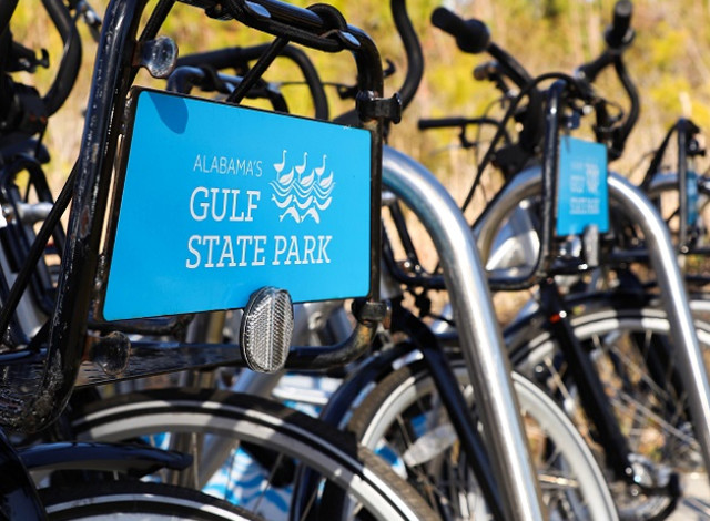 Guided Bike Ride on Gulf Oak Ridge Trailhead