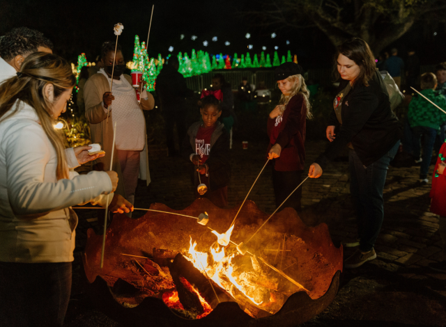 Magic Christmas in Lights at Bellingrath Gardens & Home