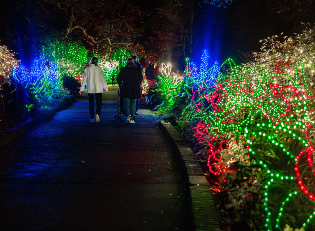 Magic Christmas in Lights at Bellingrath Gardens & Home