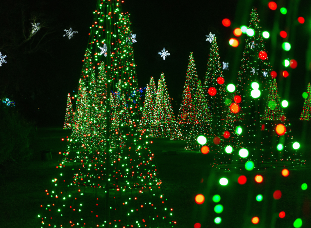 Magic Christmas in Lights at Bellingrath Gardens & Home