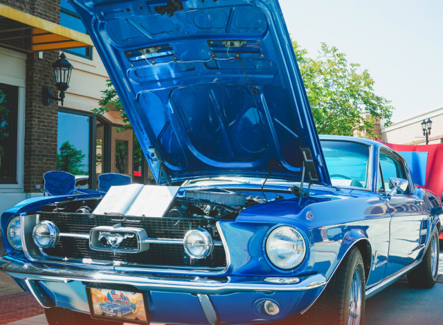 Gulf Coast Regional Mustang & Mega Car Show