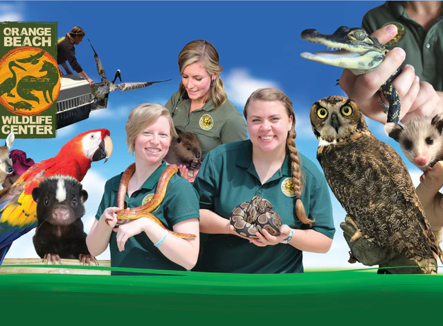Hands on Habitat - Orange Beach Wildlife Center